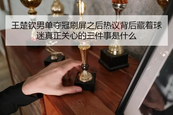 王楚钦男单夺冠刷屏之后热议背后藏着球迷真正关心的三件事是什么