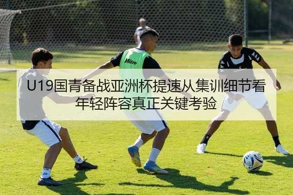 U19国青备战亚洲杯提速从集训细节看年轻阵容真正关键考验